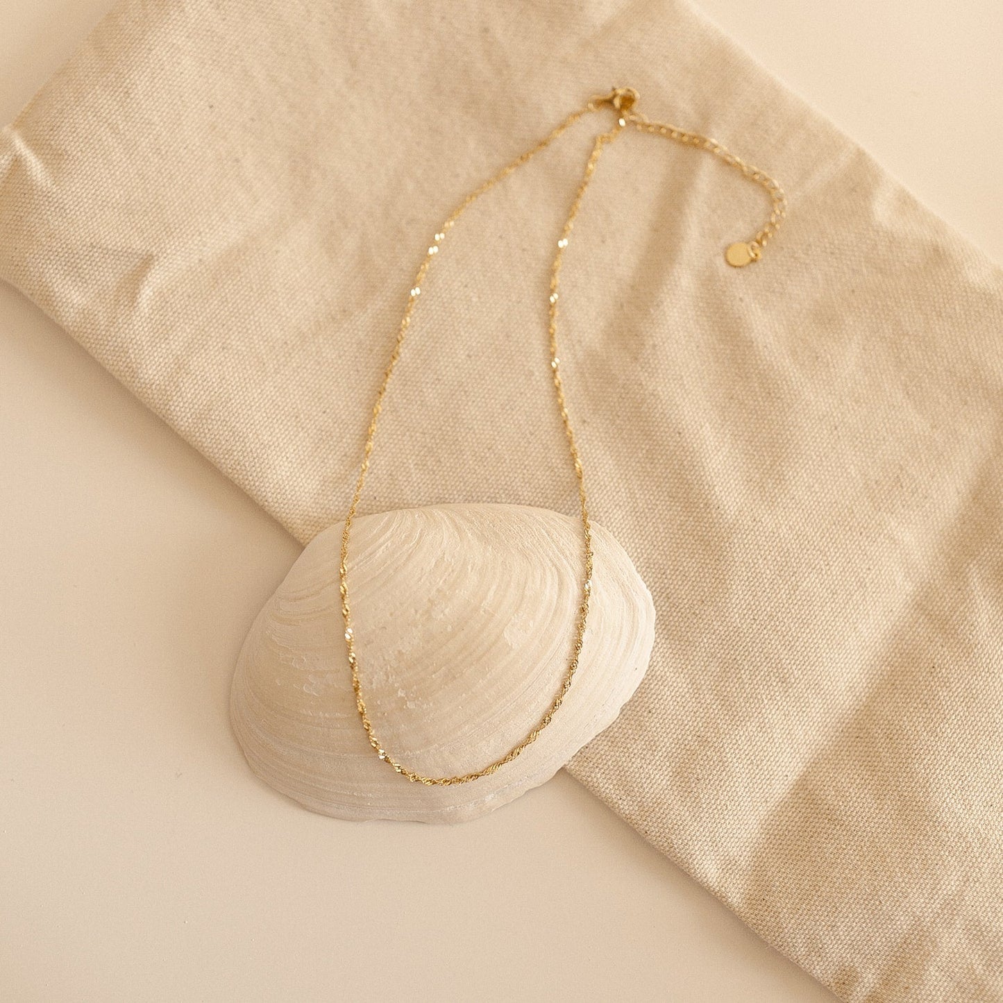 Singapore Chain - Twist Necklace
